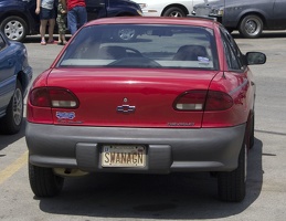 106-0838 SWANAGN.jpg